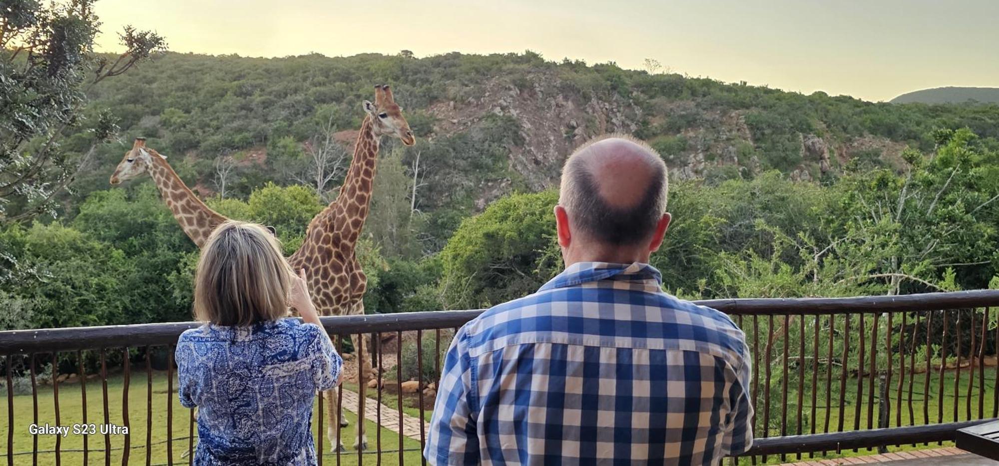 Valley Bushveld Country Lodge Addo Extérieur photo